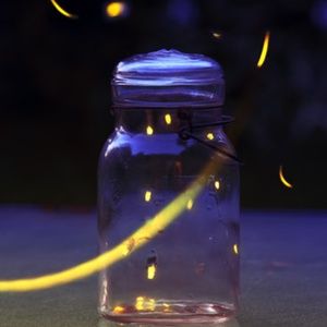 Meet your Posher, Marcee